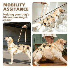Harnais PUPTECK confort durable en nylon et maillage respirant pour chien.