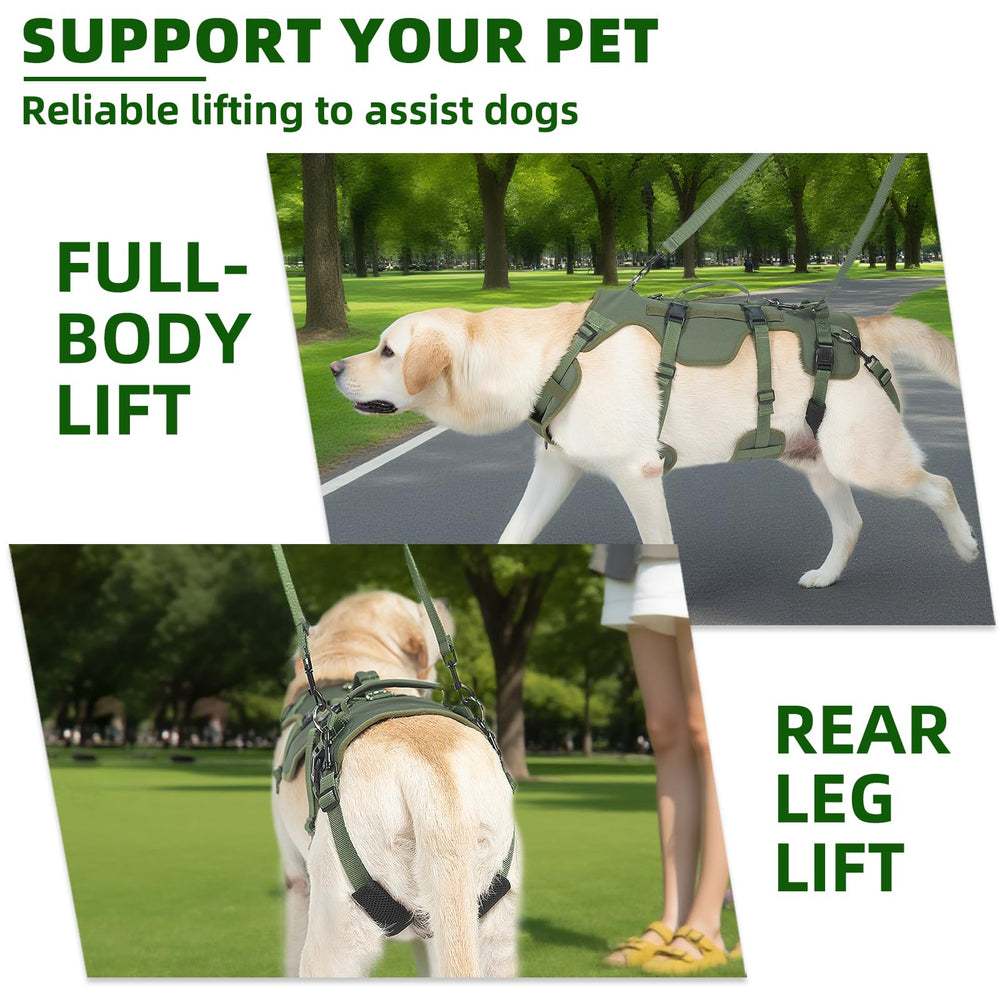 Harnais Pupteck levage pour chien grand, soutien lors des transferts et déplacements.