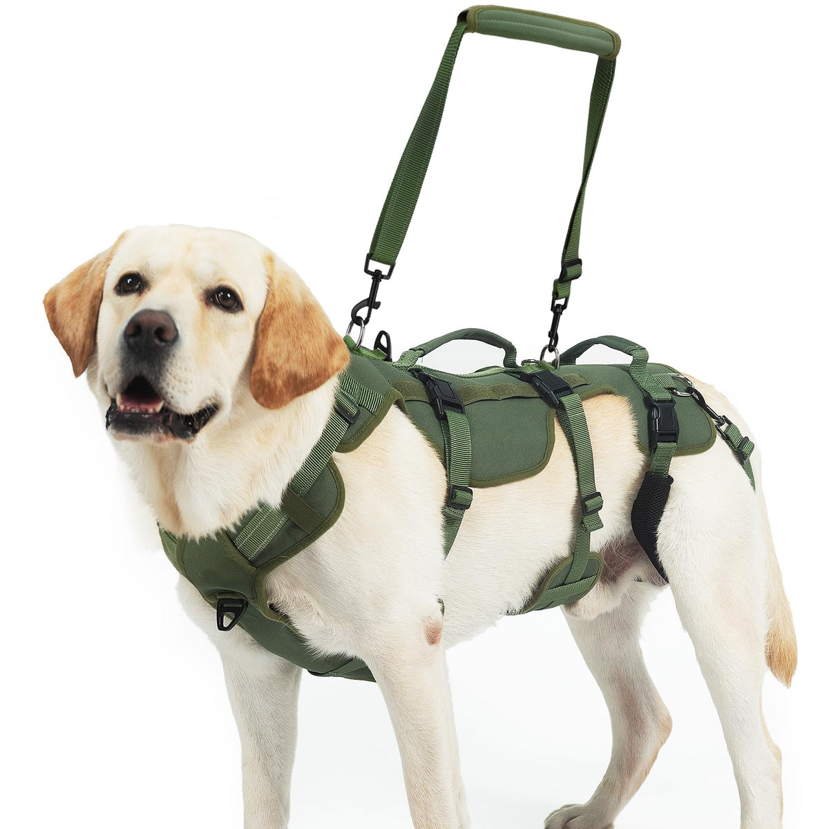 Harnais Pupteck levage pour chien moyen, aide à monter les marches.