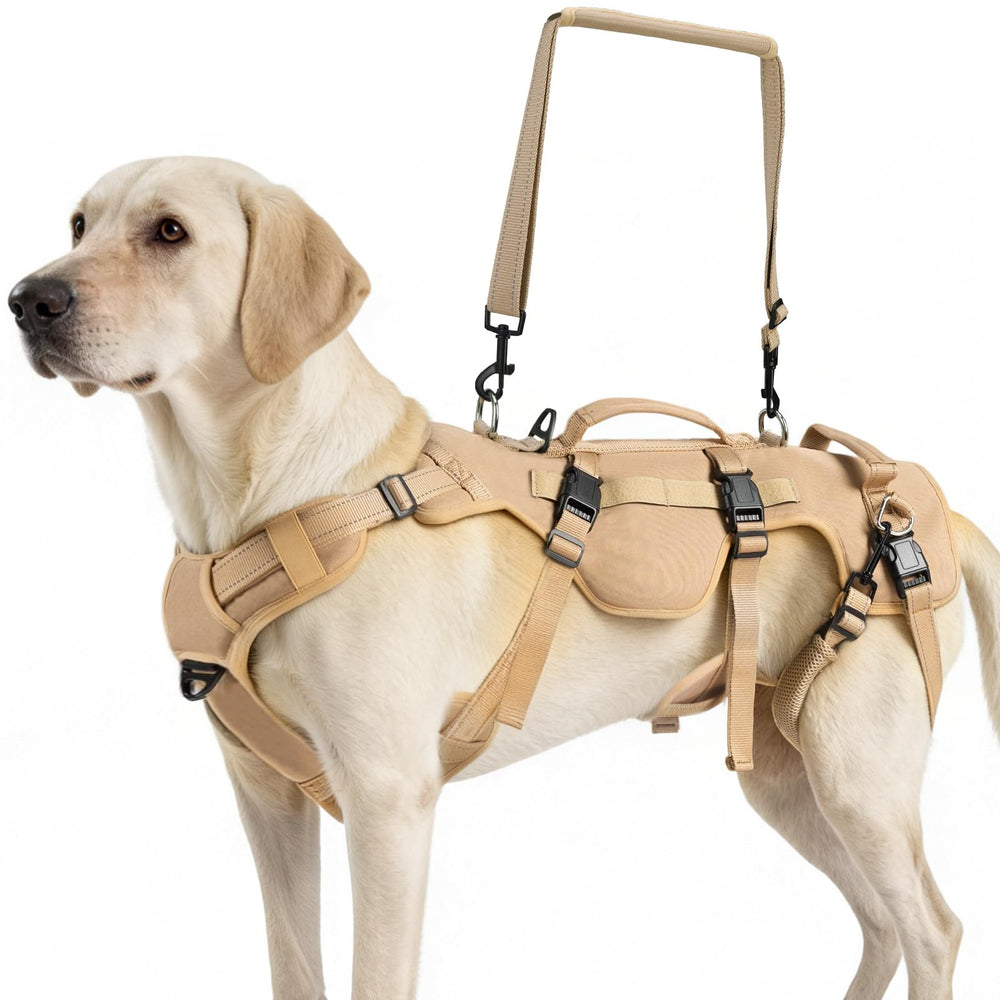 Harnais Lift PUPTECK pour chien moyen facilitant montée et descente des escaliers.