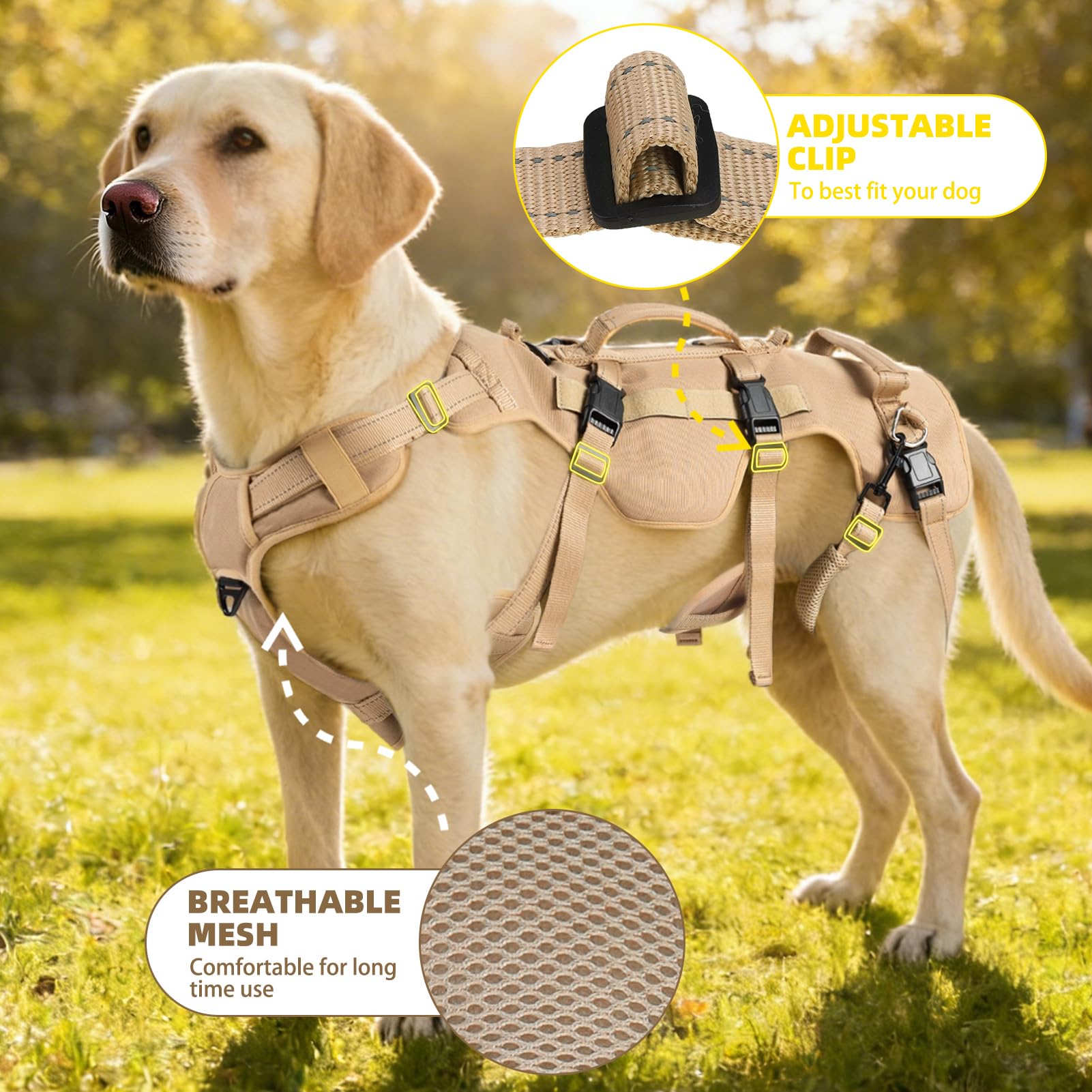 Utilisation quotidienne et sécurité avec le harnais PUPTECK pour chien.