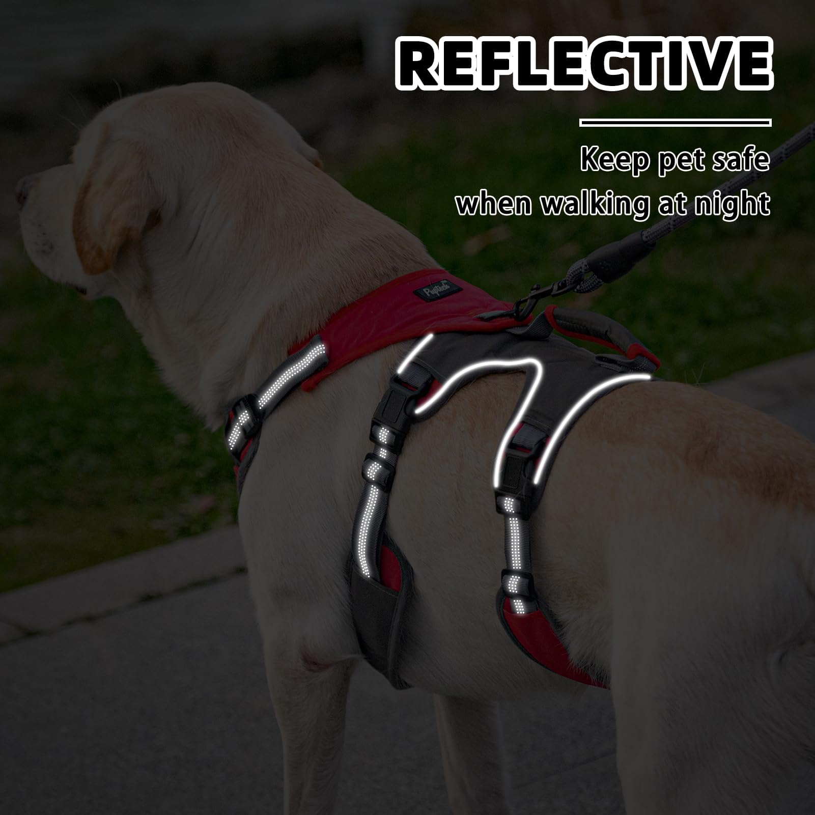 Laisse PUPTECK avec poignée rembourrée et attache rotative pour plus de contrôle.