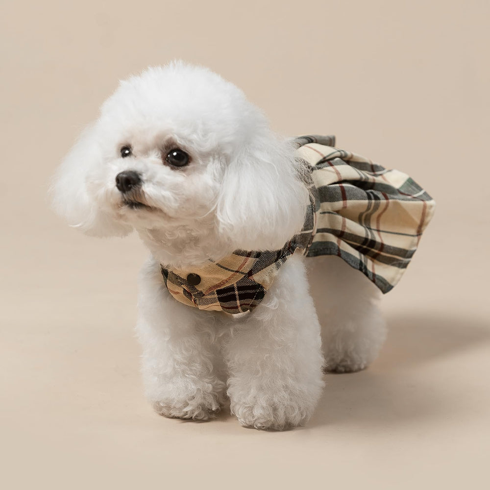 Robe PUPTECK dos détail – coupe flatteuse et design durable.