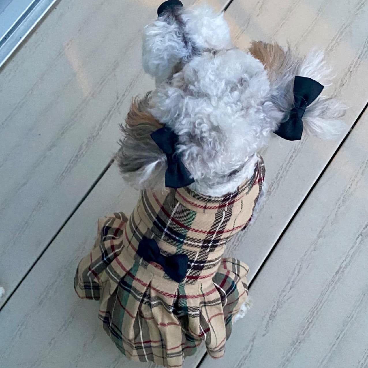 Robe PUPTECK fêtes et vacances – idéal pour occasions spéciales.