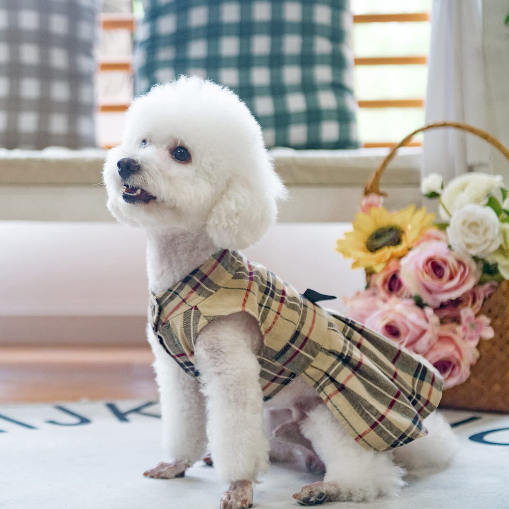 Robe PUPTECK guide tailles confort – conseils pour ajustement optimal.
