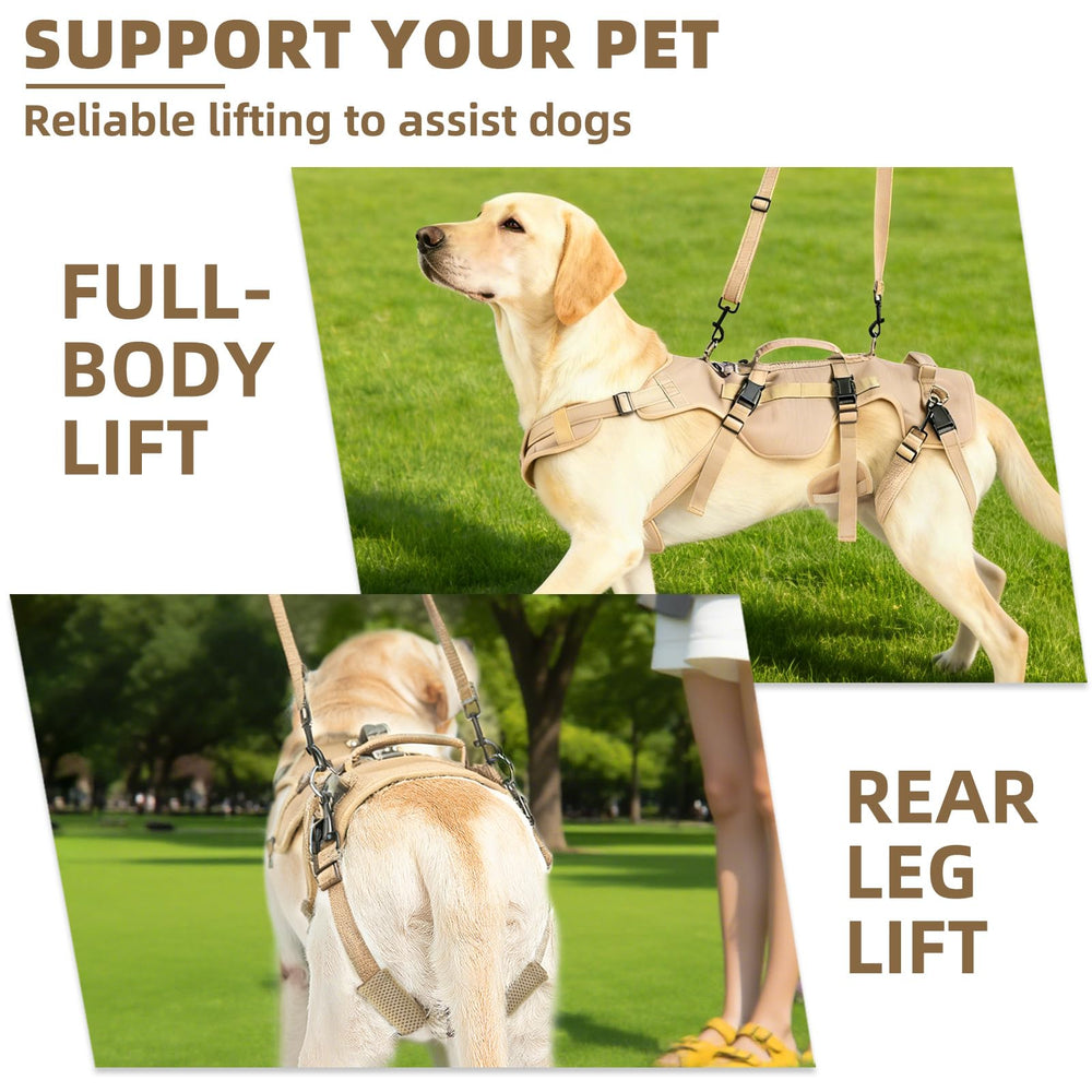 Sangles arrière détachables Pupteck utilisées pour soutenir les pattes arrière.