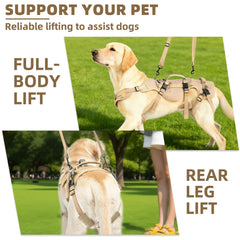Sangles arrière détachables Pupteck utilisées pour soutenir les pattes arrière.