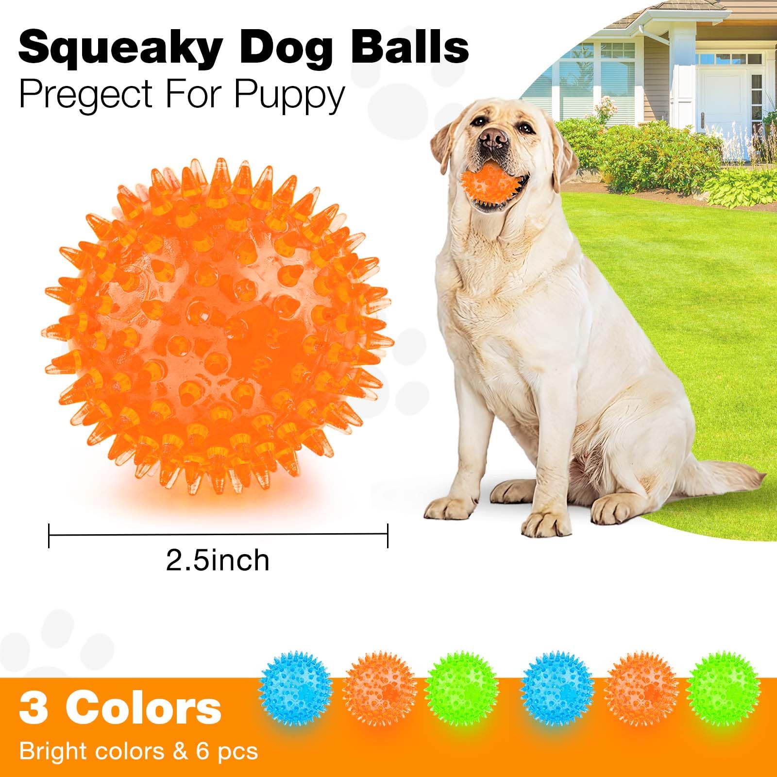 PUPTILY balle-dent-nettoyage-chien: aide à nettoyer les dents et masser les gencives.