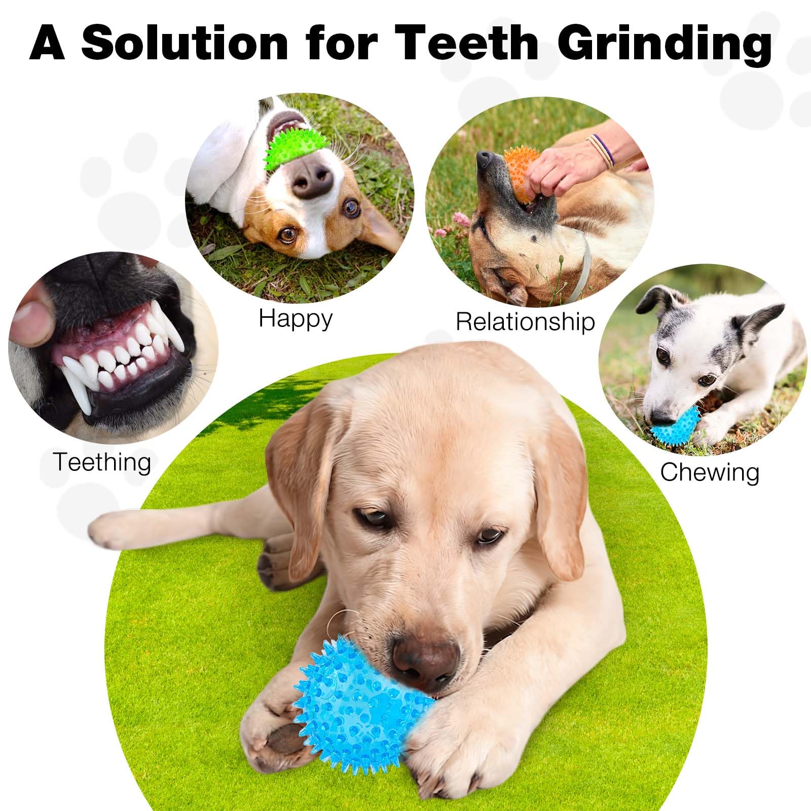 PUPTILY jouet-entrainement-chien: outil pratique pour entraînement, récompenser et renforcer le lien.