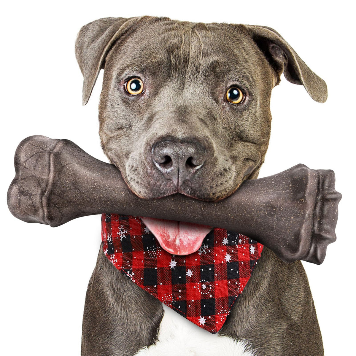 Jouet Os indestructible PUPTILY pour gros chien, résistant et sûr pour les sessions de mastication.