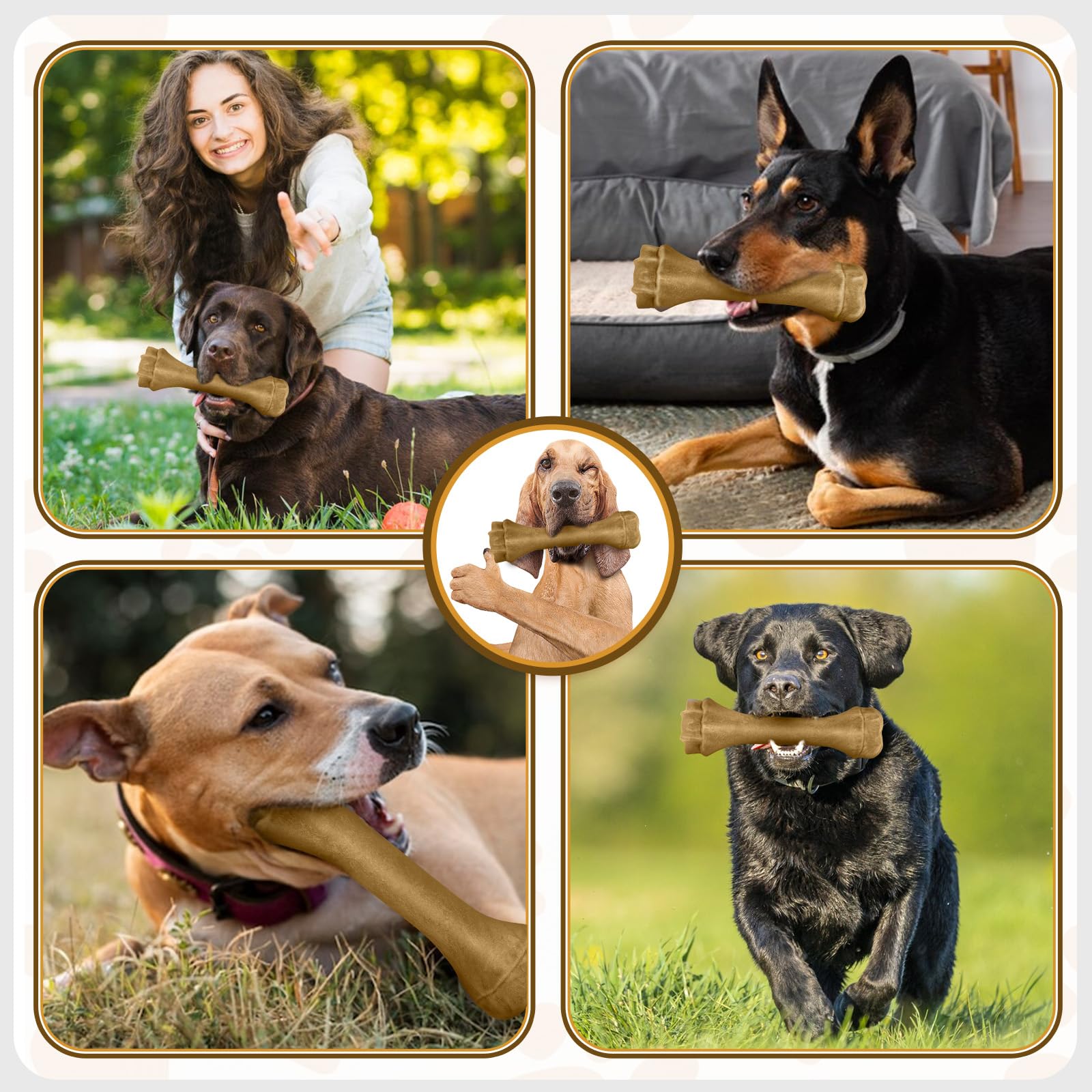 Puptily jouet de qualité pour chiens puissants et grandes races.