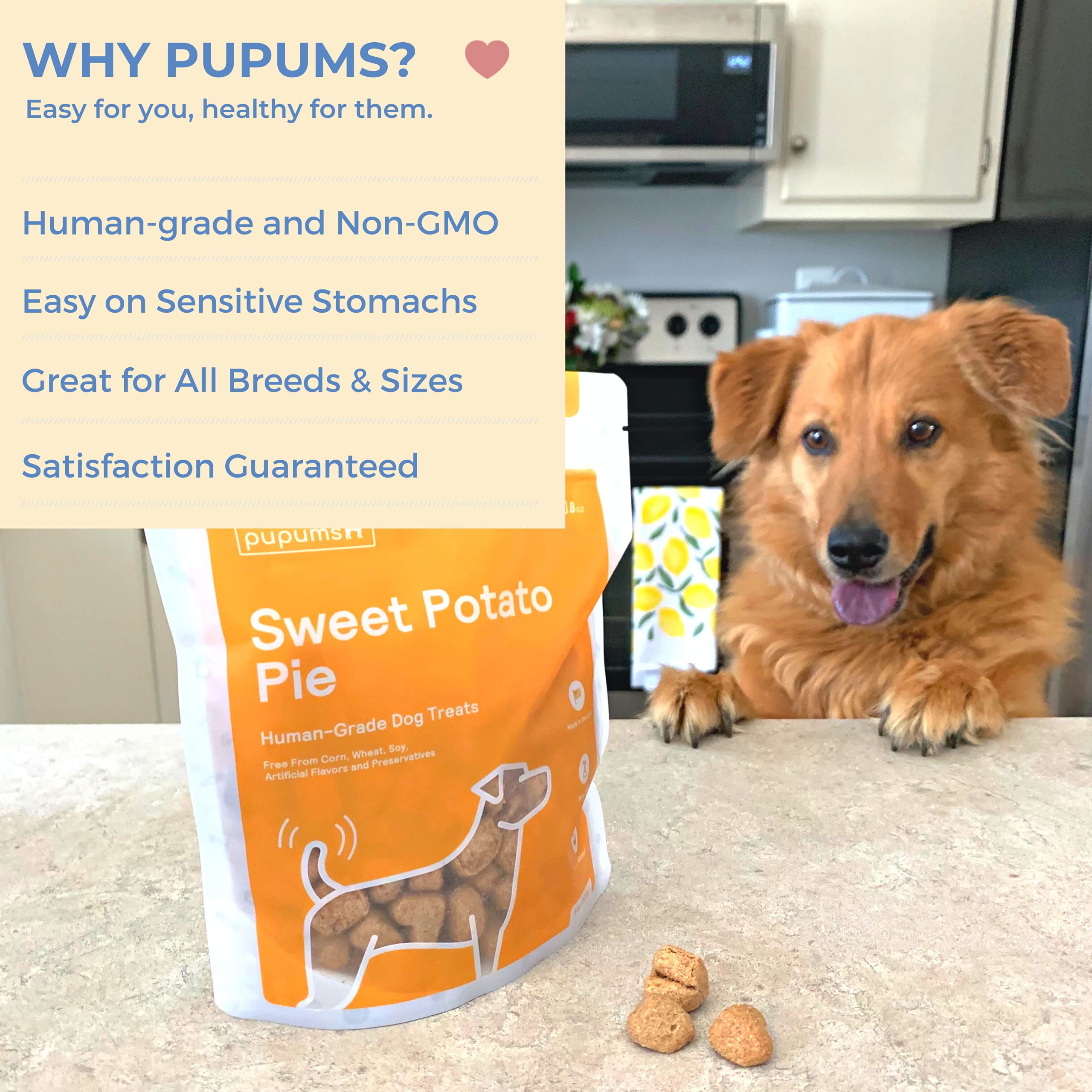 Pupums biscuits sans céréales: option légère pour chiens sensibles.