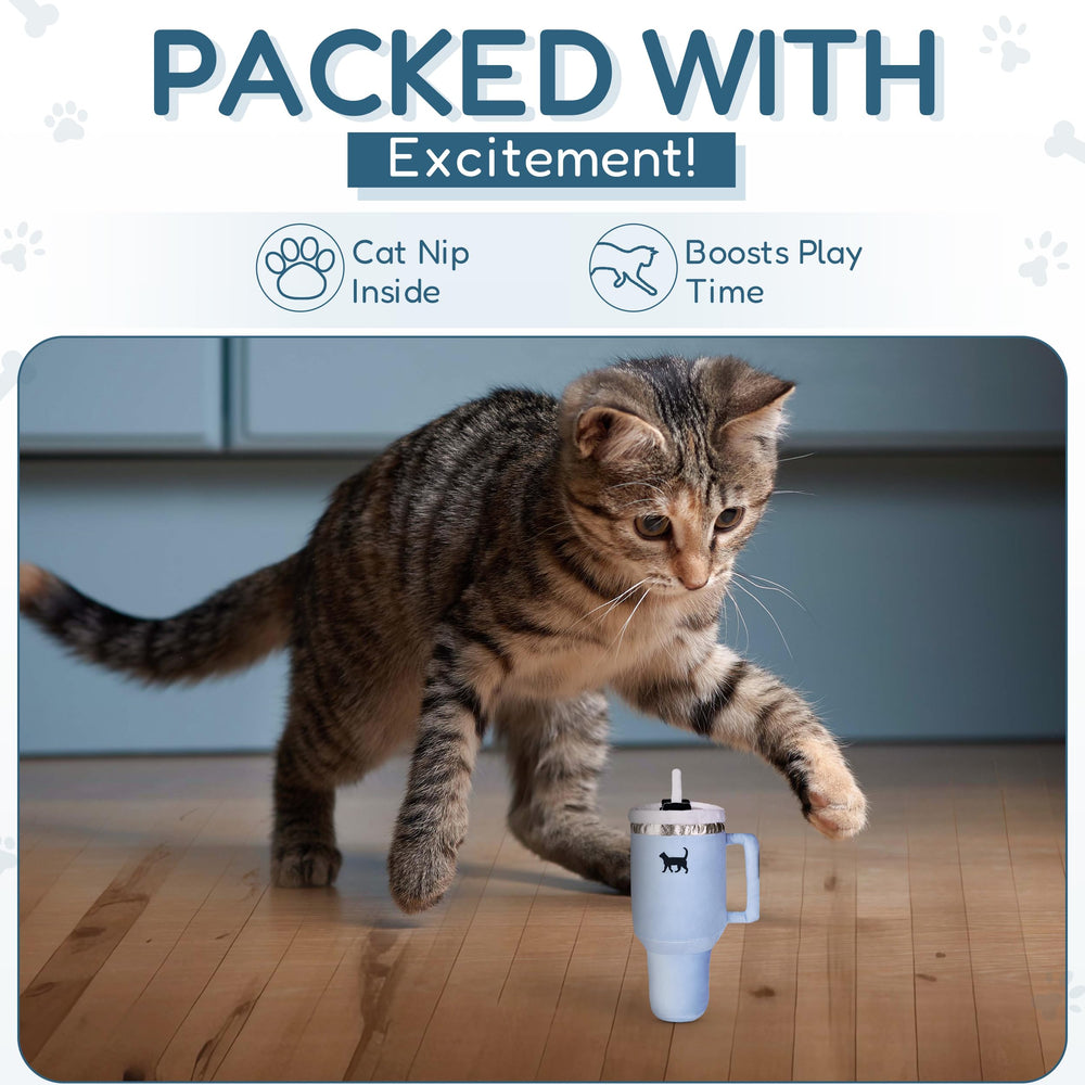 Jouet Kitty Cup au design chic de PUPROAR pour chats élégants.