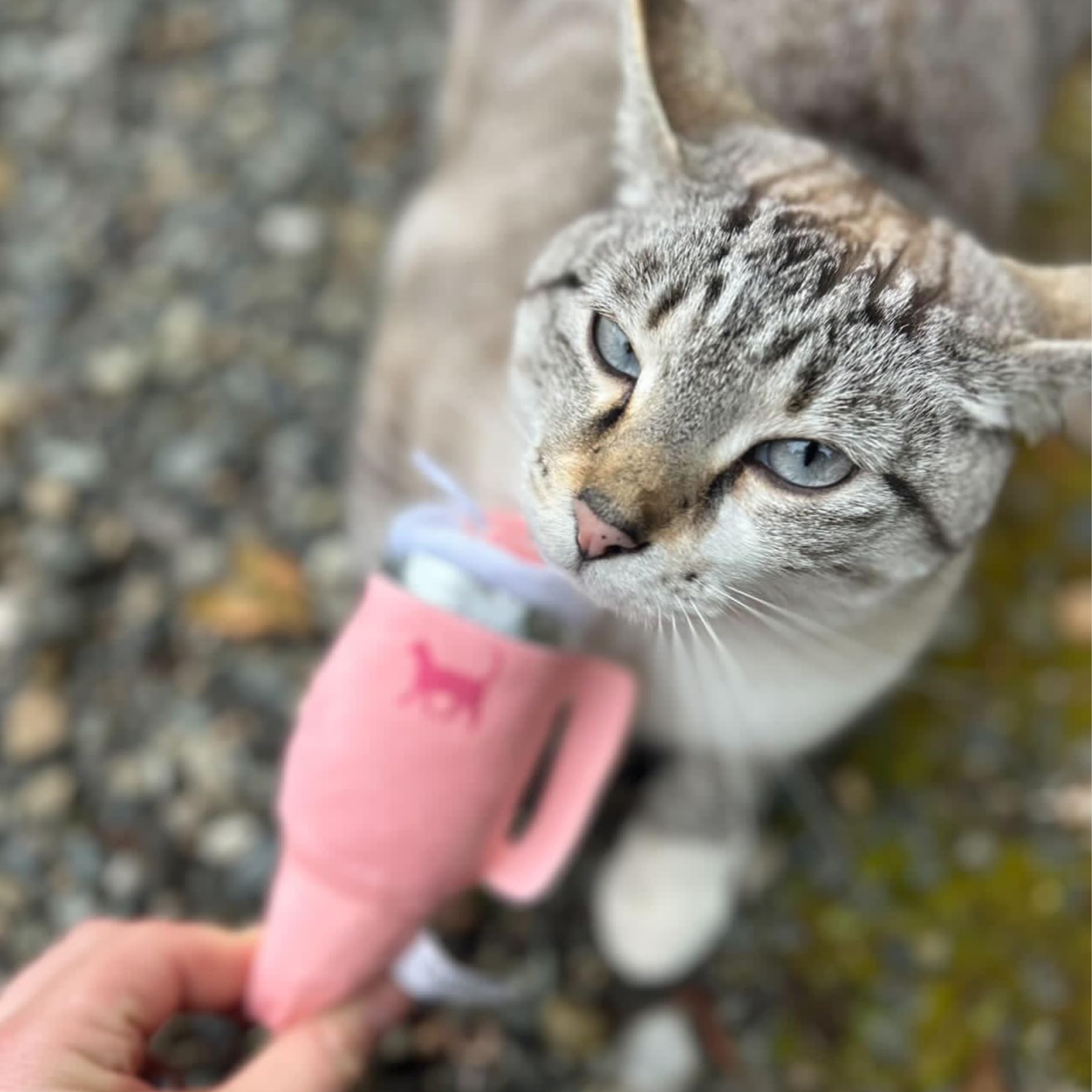 Jouet Kitty Cup doux et pelucheux pour jeux calmes et répétés.