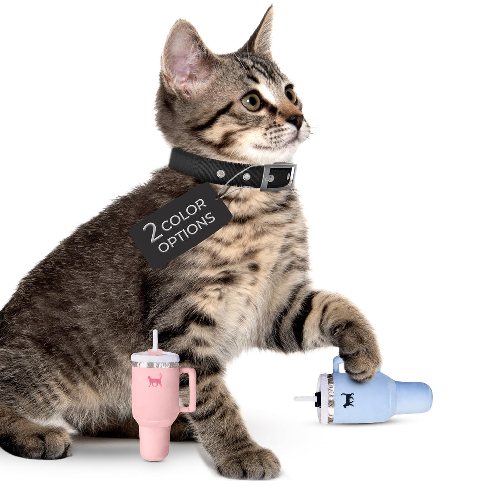 Kitty Cup offre stimulation ludique et enrichment quotidien pour chats.