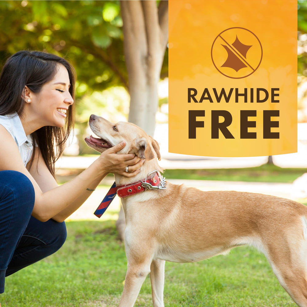 Texture os mini durable, idéale pour les chiens qui aiment mâcher.