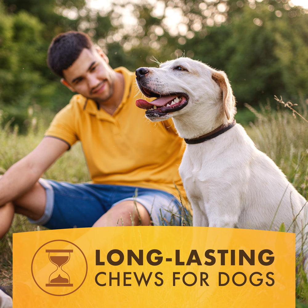 Pur Luv K9 Kraves: sans cuir brut, alternative sûre pour les chiens qui aiment mâcher.