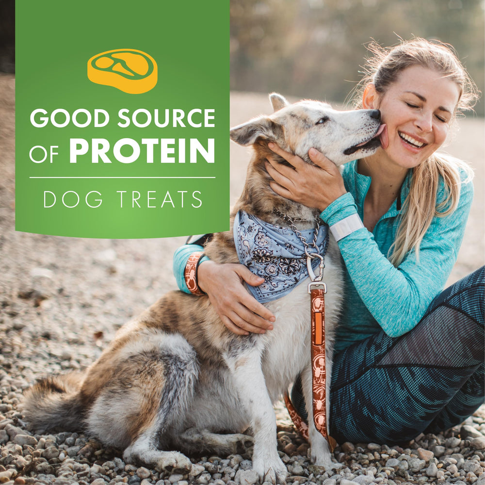Pur Luv Snack chien longue durée — divertissement et satiété.