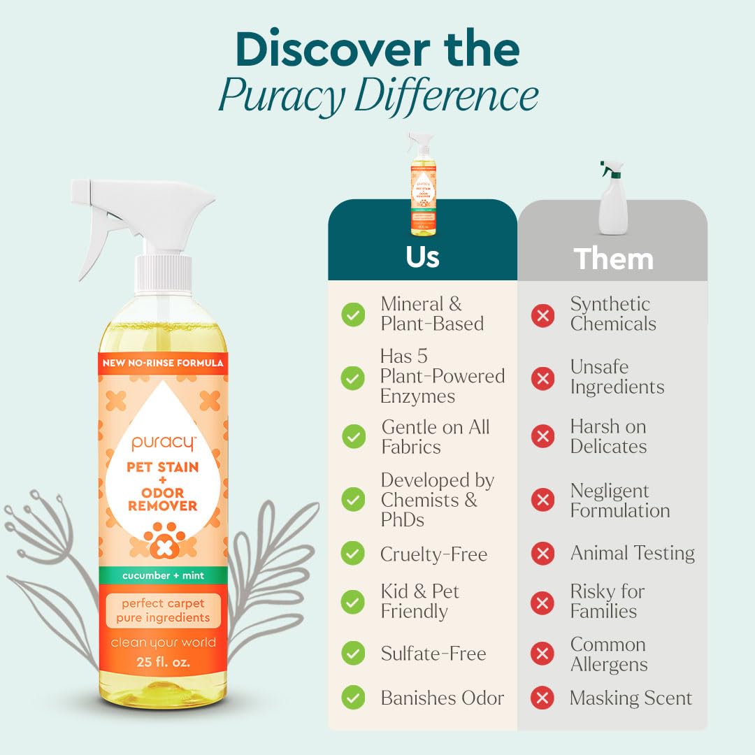 Puracy Emballage 25 oz éco-responsable, prêt pour usage domestique.