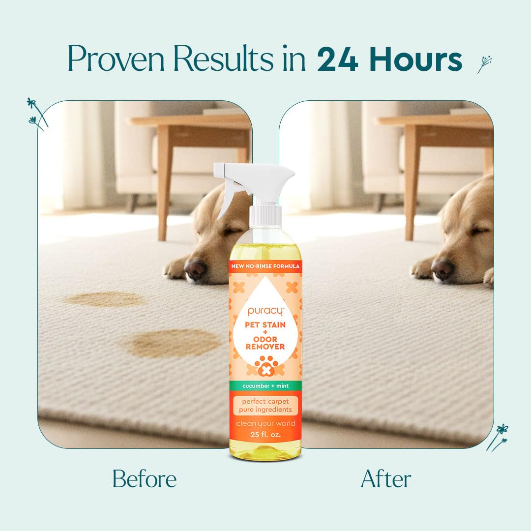 Puracy Nettoyant enzymatique – tapis et tissu propres, sans rinçage ni effort.