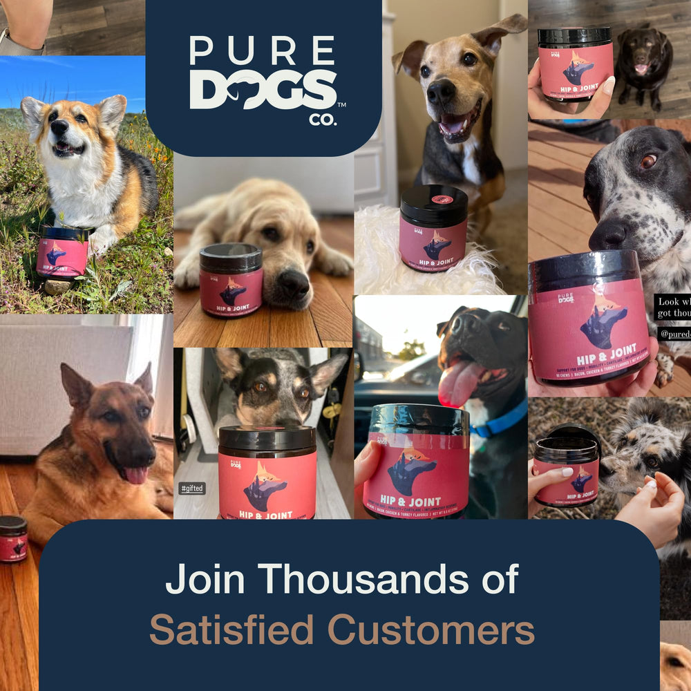 Pure Dogs CO. Fabriqué en usine certifiée selon les bonnes pratiques de fabrication.