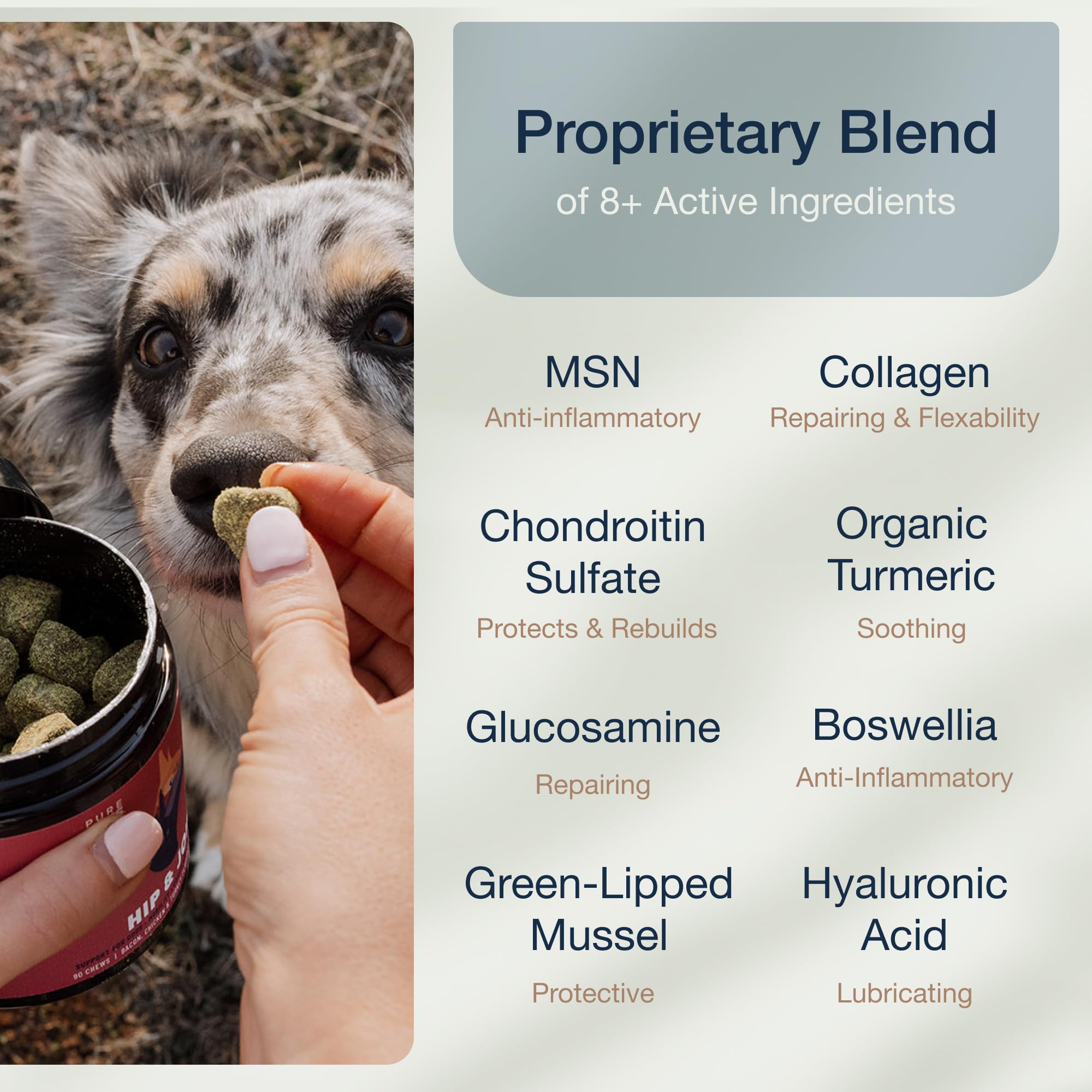 PURE DOGS CO. Sans gluten, formulation douce sur l estomac pour la digestion.