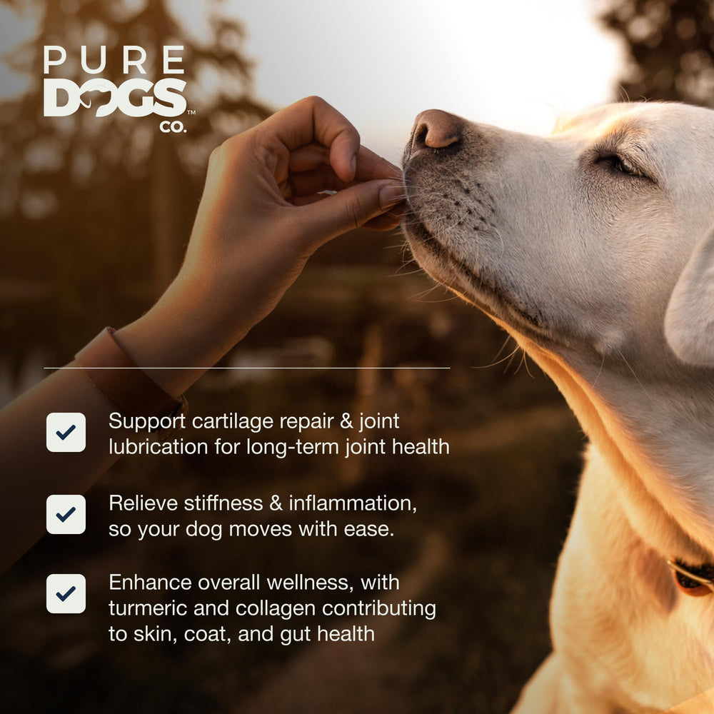 PURE DOGS CO. Soutien digestif — ingrédients ciblés pour un confort intestinal quotidien.