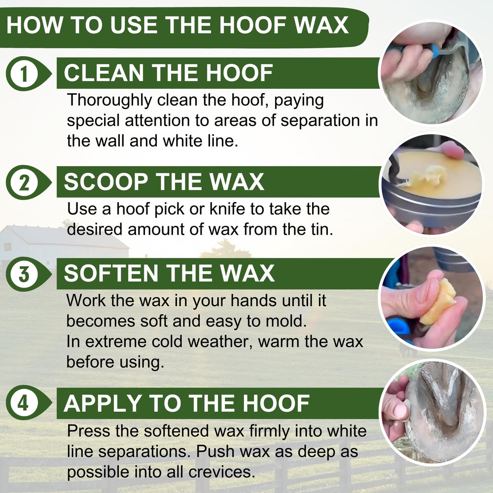 Pure Sole : protection contre l’humidité et les intempéries du sabot.