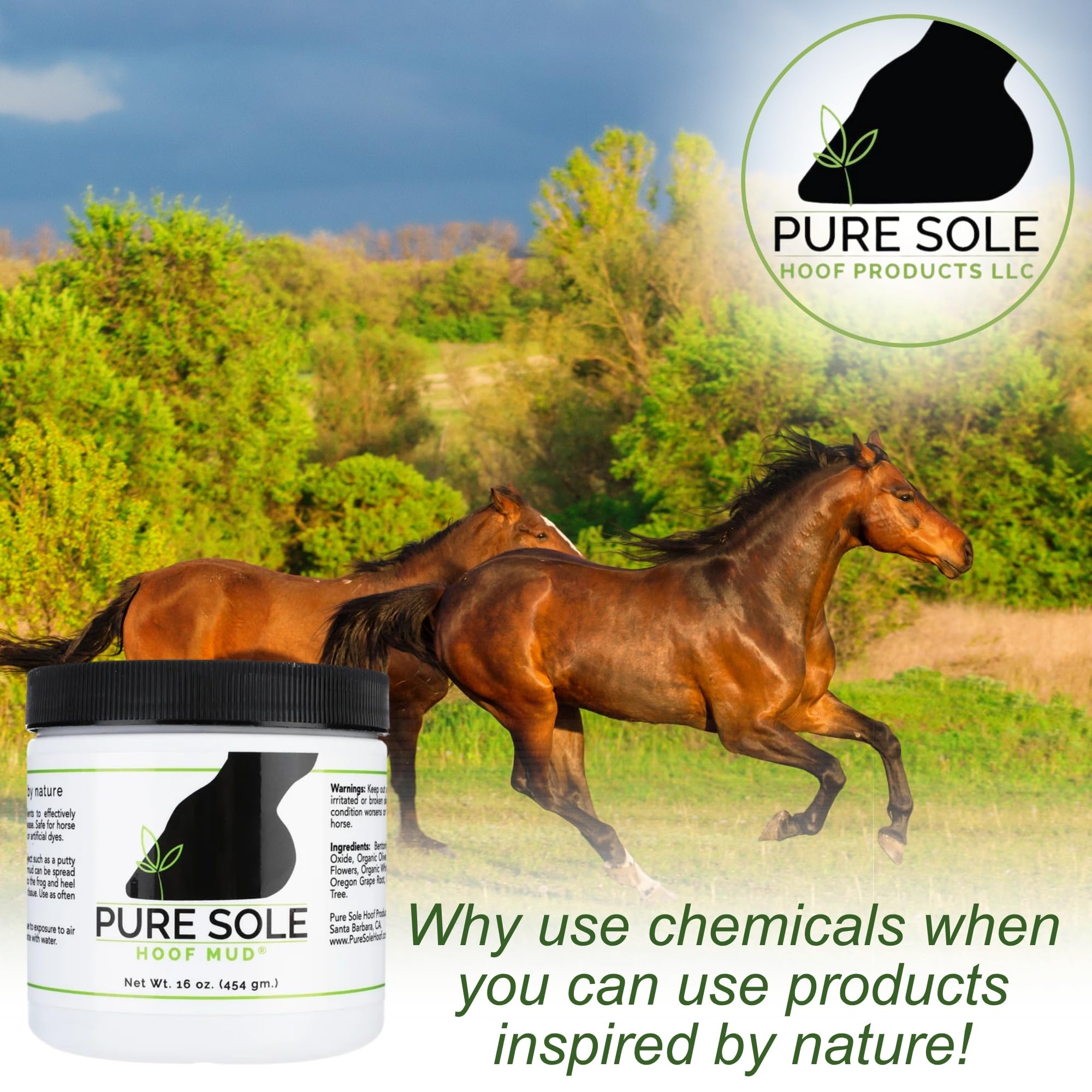 Pure Sole Boue-Sabot pour absces mineurs, pansement simple.