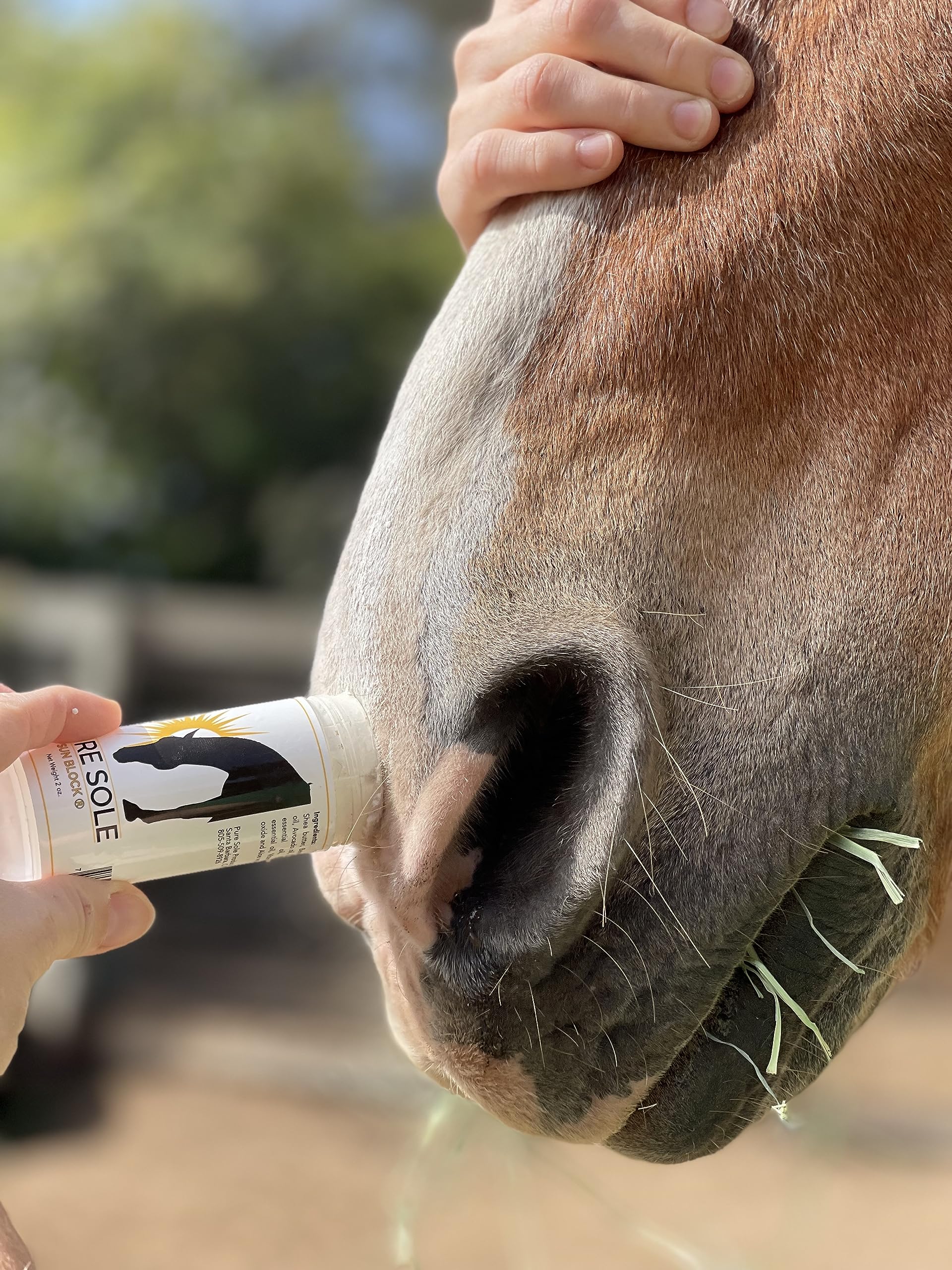 Pure Sole Sun Block Cream incorpore du zinc non-nano et ingrédients naturels.