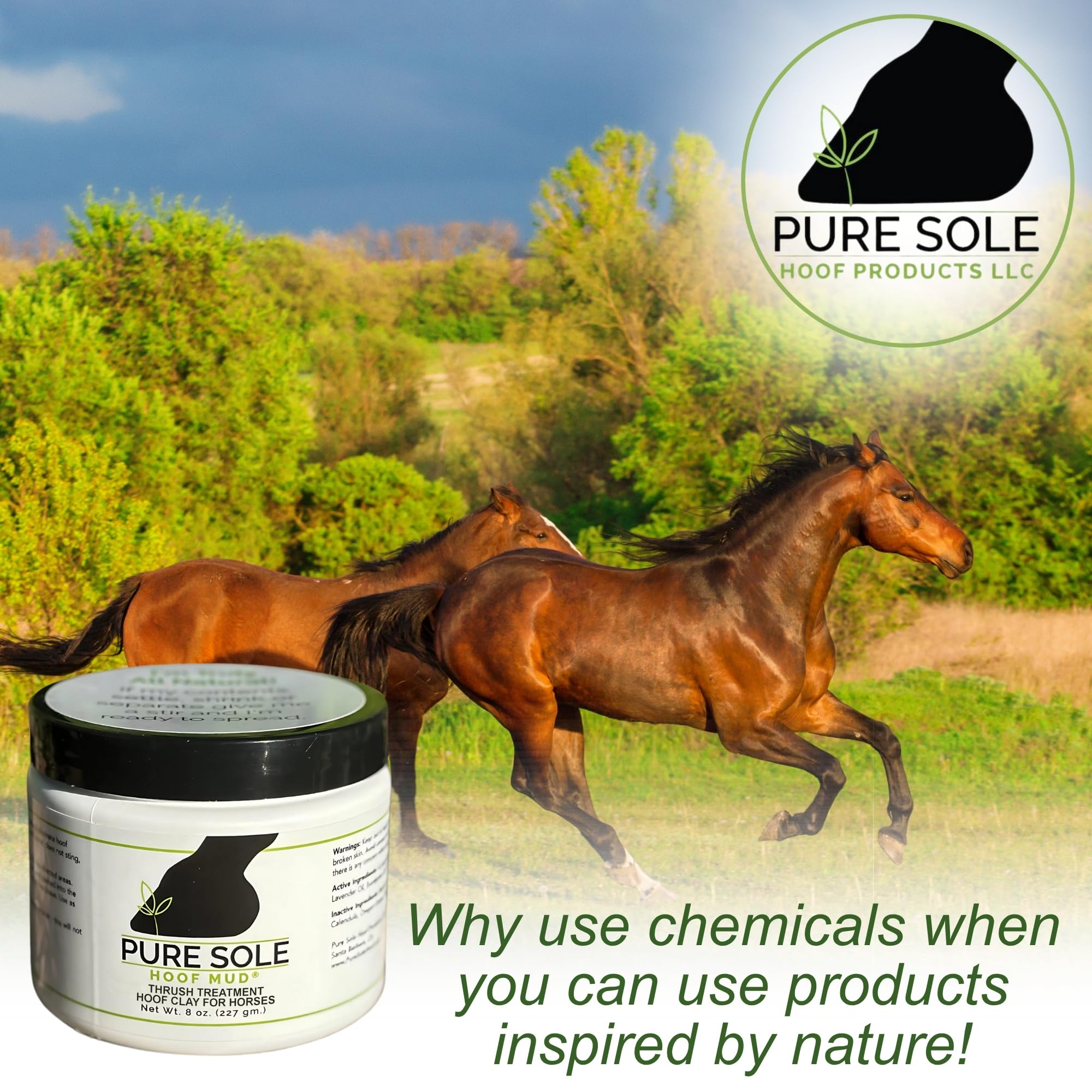 Pure Sole Hoof Mud — recommandé par les maréchaux pour le soin du sabot.