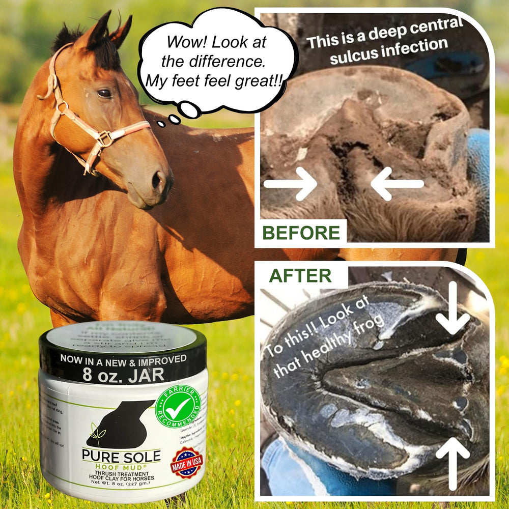 Pure Sole Hoof Mud — travail sur le sillon central du sabot.