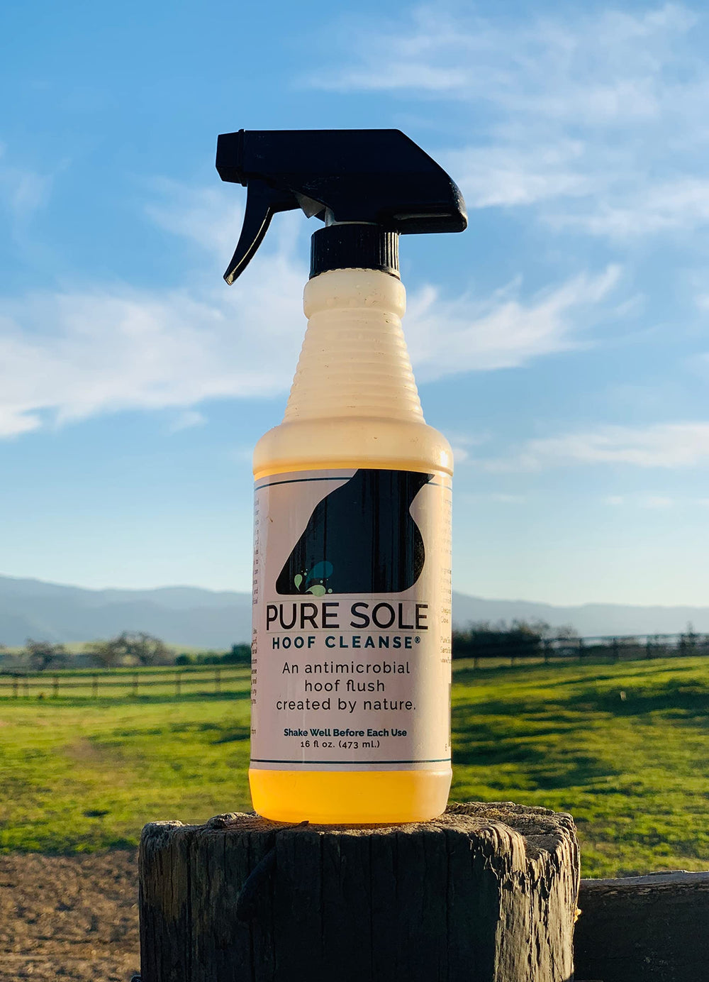 Pure Sole – formule naturelle au miel et vinaigre, sans produits agressifs.