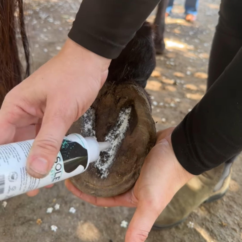 Pure Sole Poudre entretien des sabots pour routine efficace