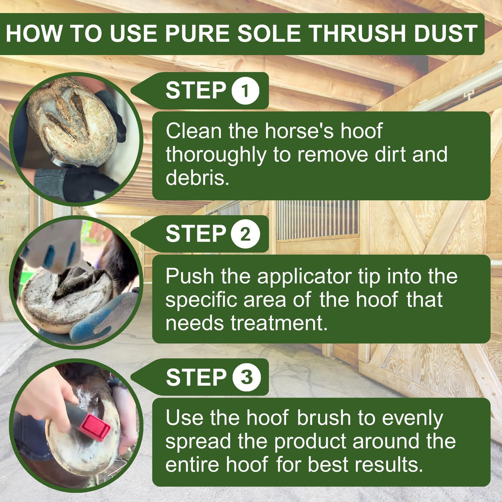Pure Sole Poudre fabriquée aux États-Unis par des professionnels