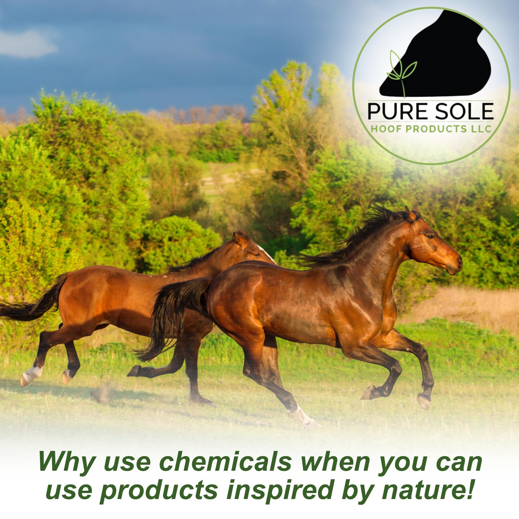 Pure Sole – utilisation quotidienne pour prévenir le thrush et les irritations.