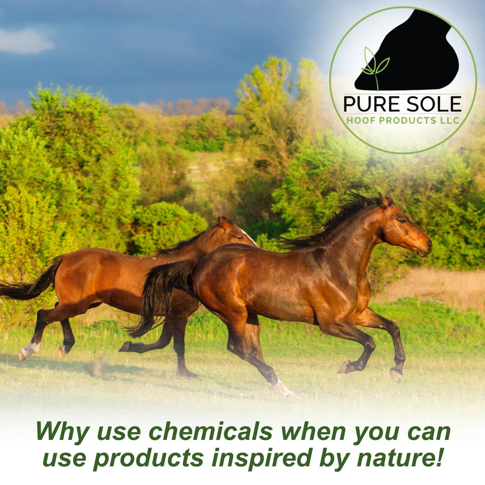 Pure Sole – utilisation quotidienne pour prévenir le thrush et les irritations.