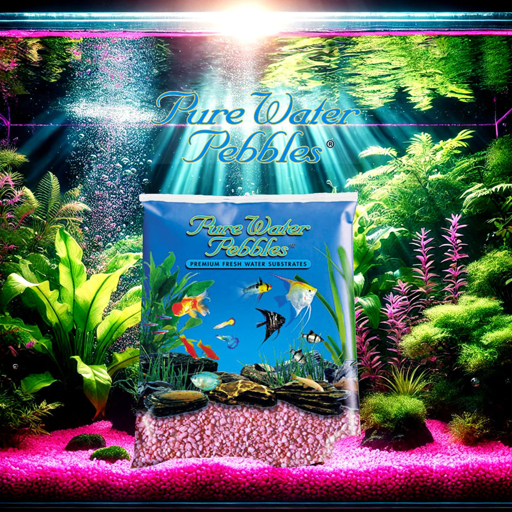 Pure Water Pebbles gravier néon rose pour décoration, apportant une touche lumineuse.