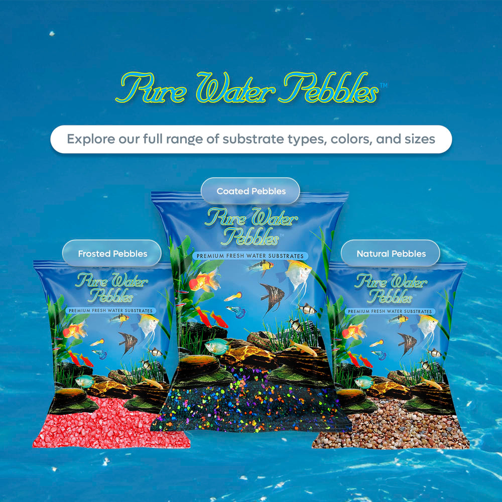 Pure Water Pebbles Lasernite Glo installation facile et rapide.