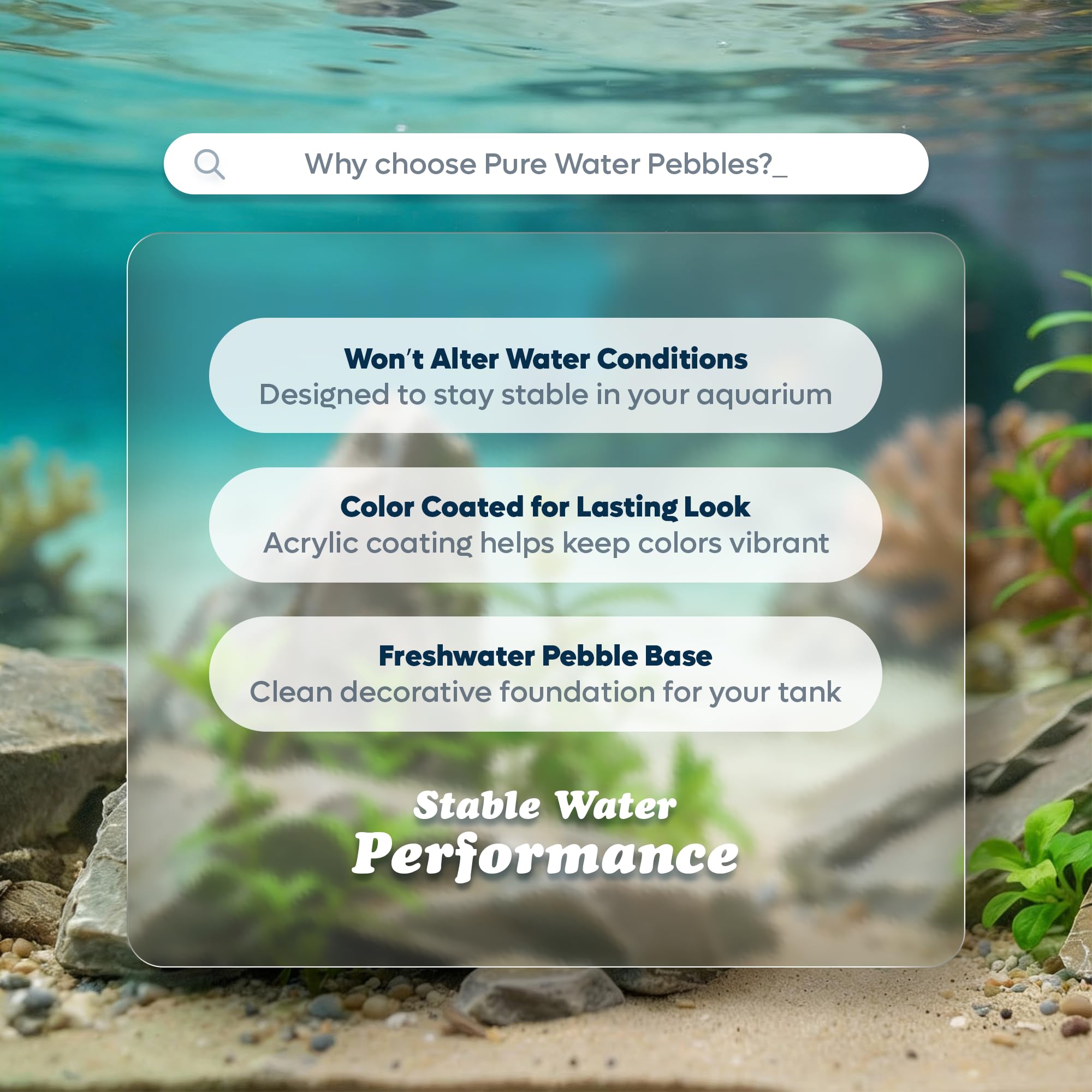 Pure Water Pebbles Lasernite Glo dans un terrarium pour un effet éclatant.