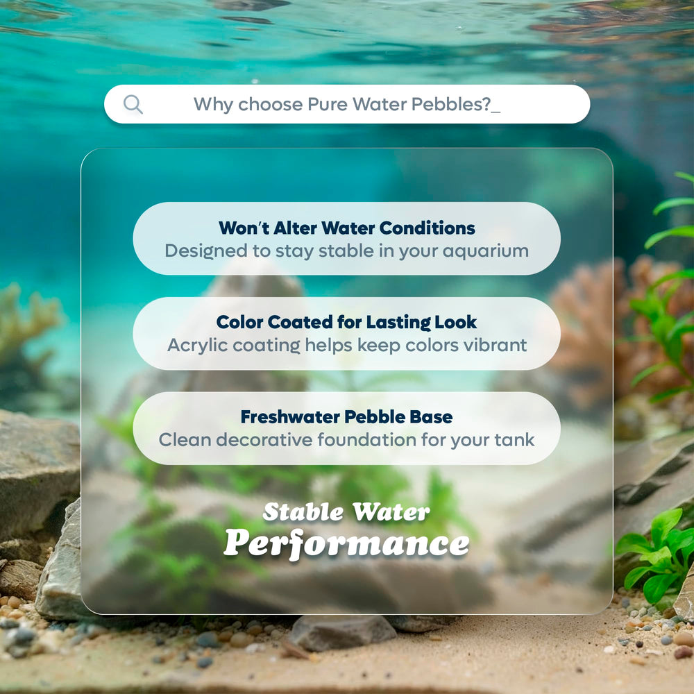 Pure Water Pebbles Lasernite Glo dans un terrarium pour un effet éclatant.
