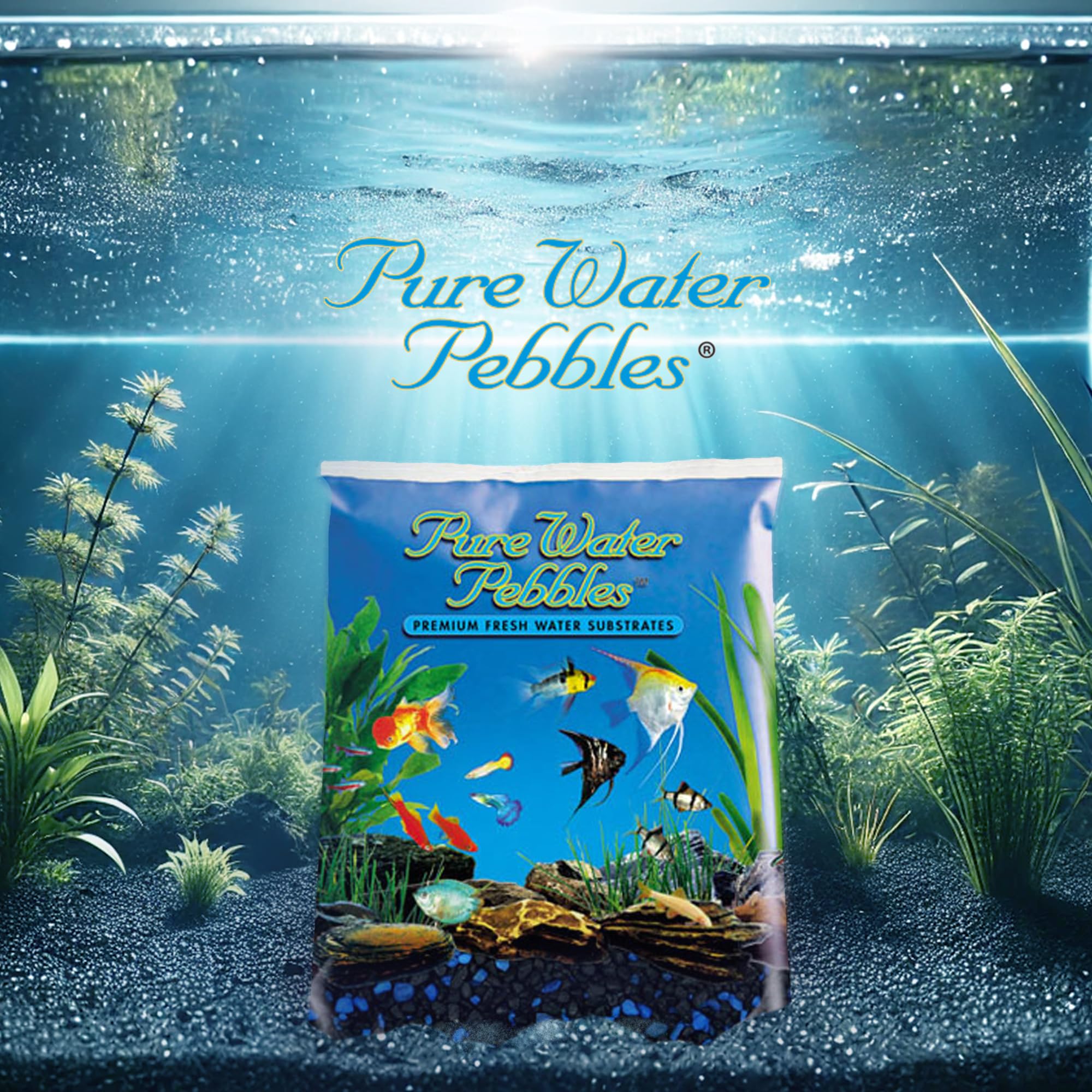 Pure Water Pebbles Midnight Glo parfait pour plantes en pot et décorations.