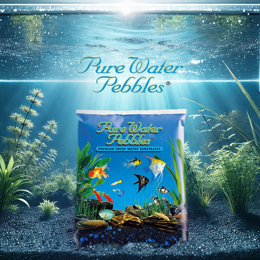 Pure Water Pebbles Midnight Glo parfait pour plantes en pot et décorations.