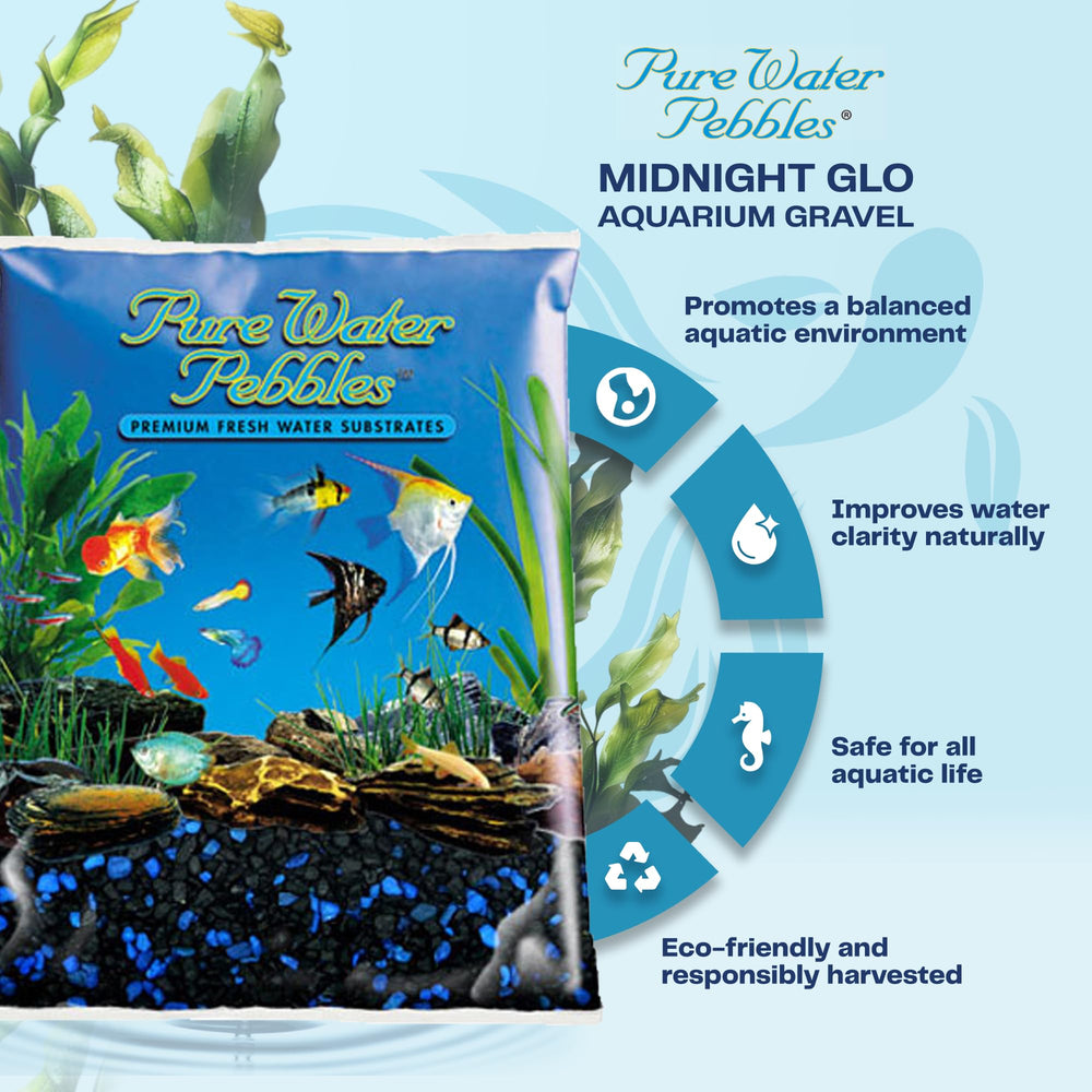 Pure Water Pebbles Midnight Glo souligne le terrarium avec une lumière subtile et durable.