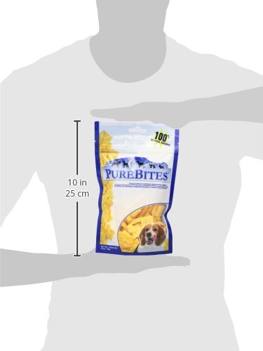 Chien dégustant une friandise PureBites cheddar lors d’un entraînement.