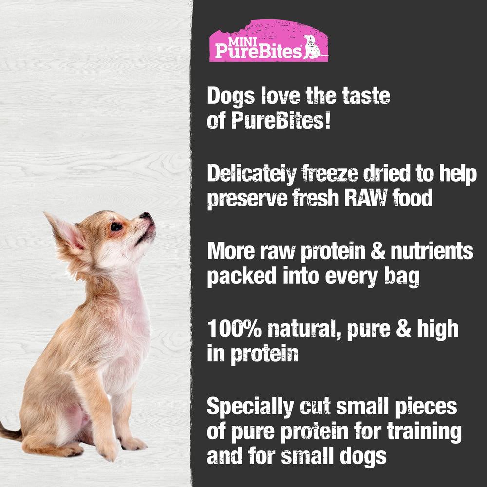 Portions simples riches en protéines de saumon pour chien.
