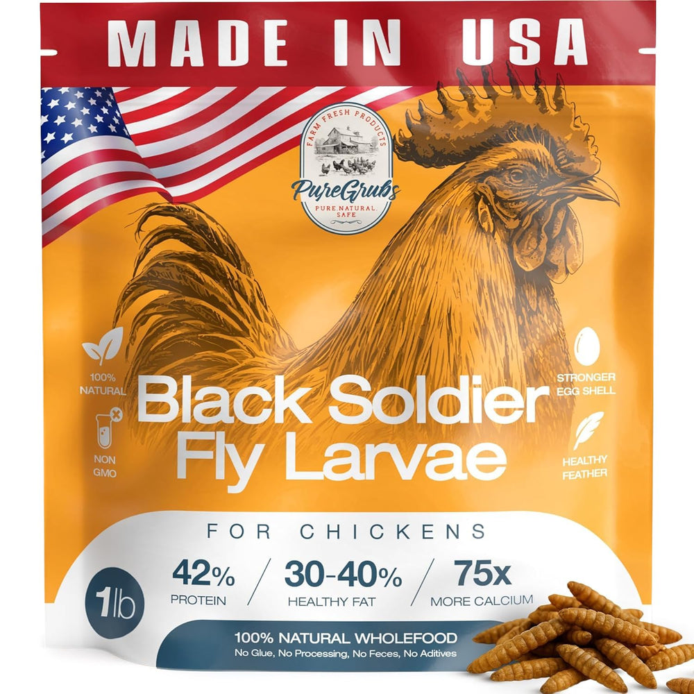 PureGrubs larves-noires séchées pour poules, friandise protéinée.