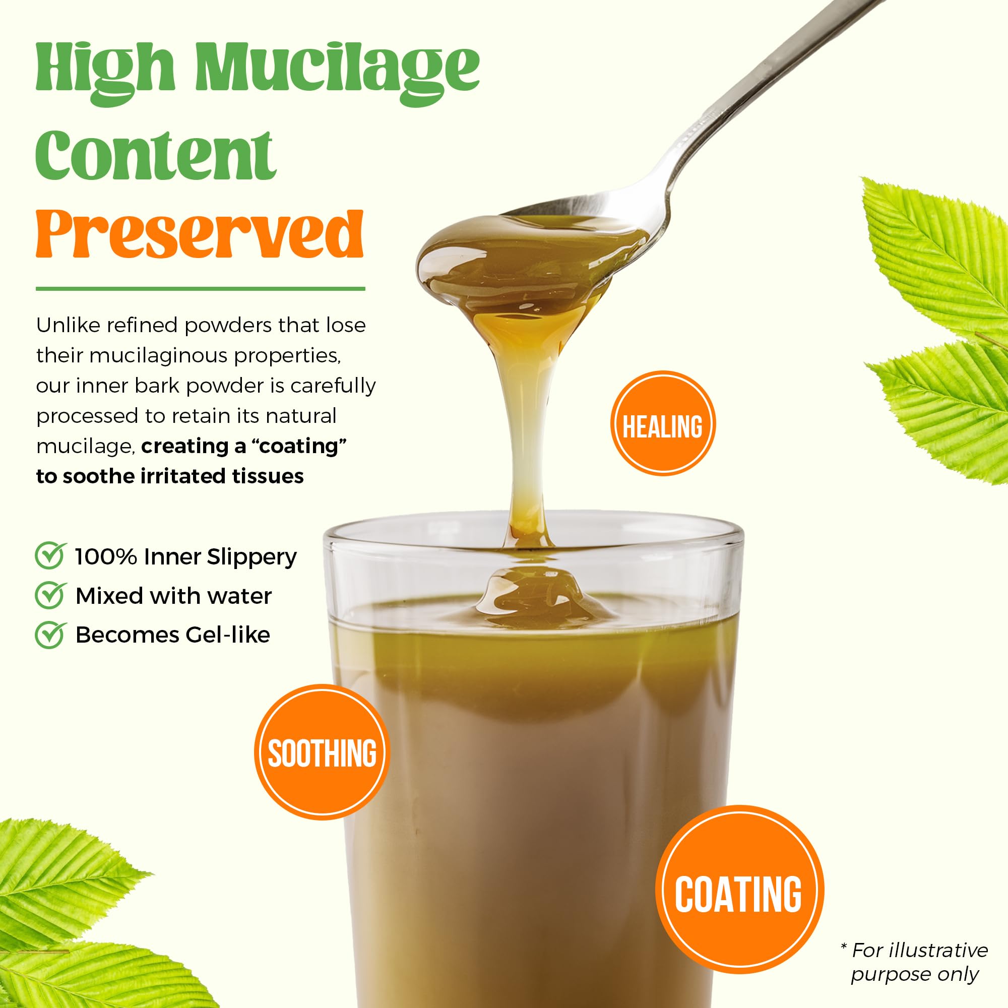 PureRootss santé digestive grâce au mucilage et prébiotique potentiel