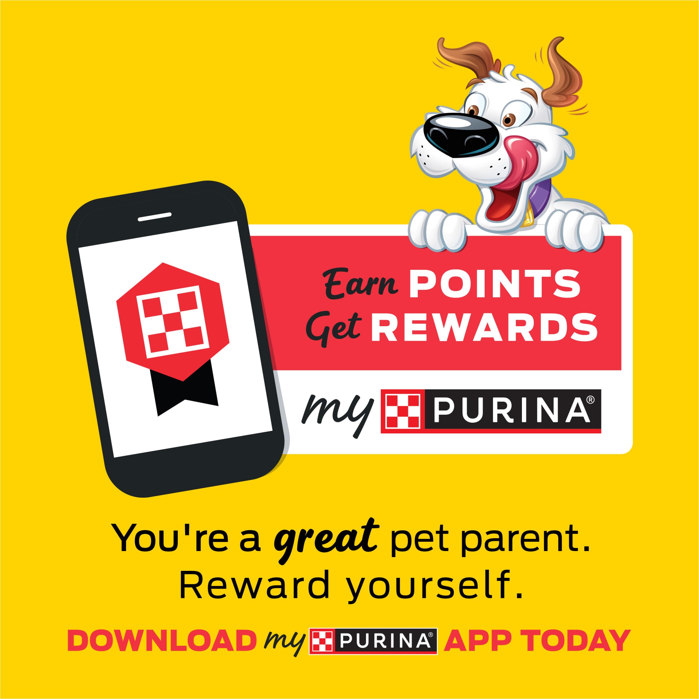 Purina Beggin' Flavor Stix collations quotidiennes parfaite pour une pause gourmande