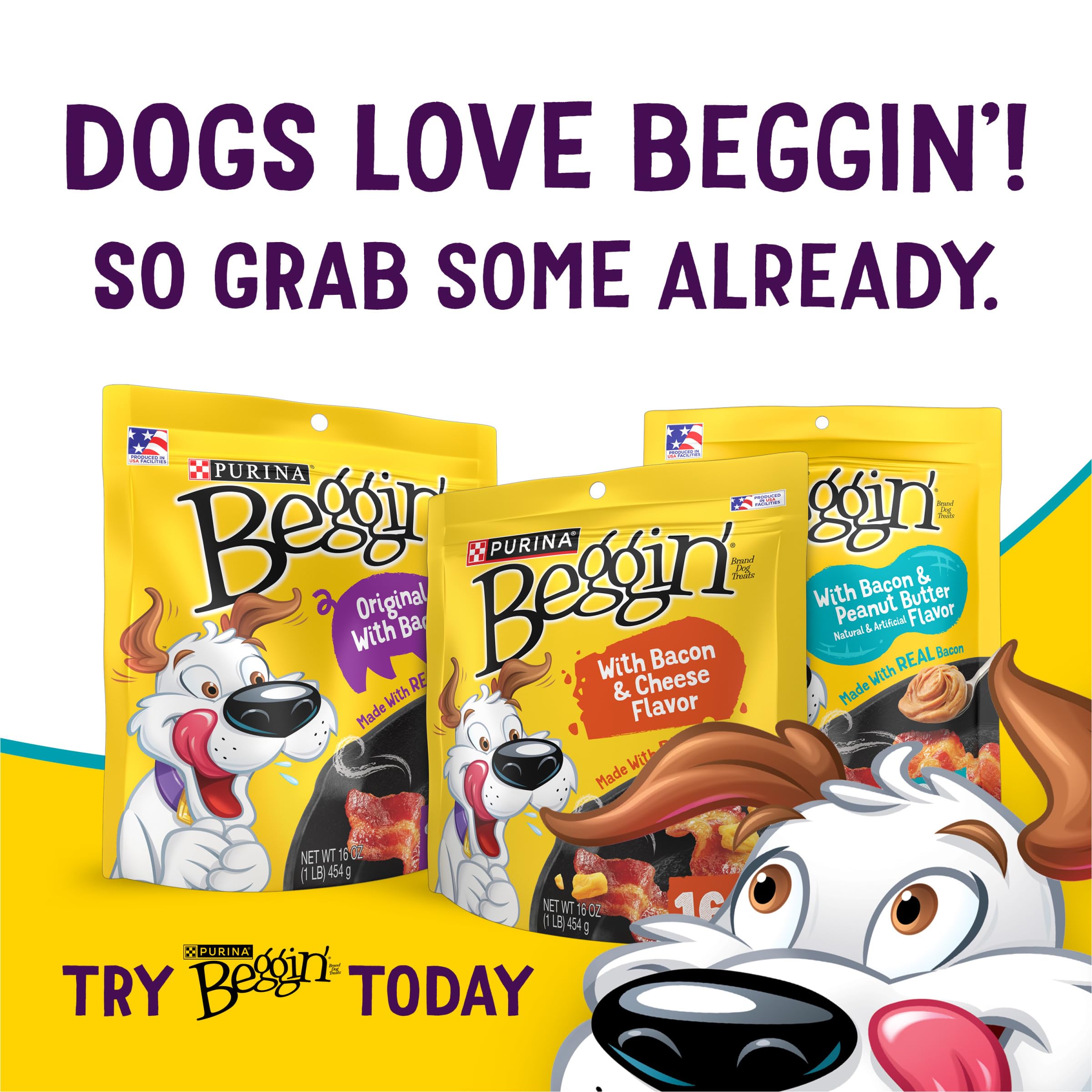 Purina Beggin' Flavor Stix sans arômes artificiels meilleure option naturelle